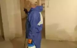 Zdjęcie do Przeprowadzono dezynfekcję