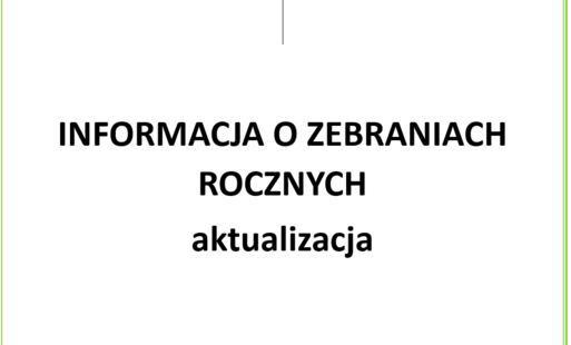 Zdjęcie do zebrania roczne